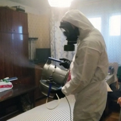 Дезинфекция от клопов в Назарово