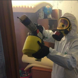 Уничтожение клопов в квартире. Назарово